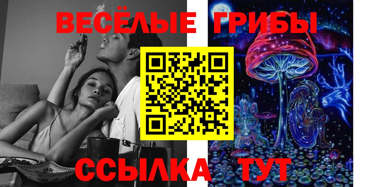 Псилоцибиновые грибы Psilocybe  Псилоцибиновые грибы мухоморы  Вход с VPN  Белогорск 